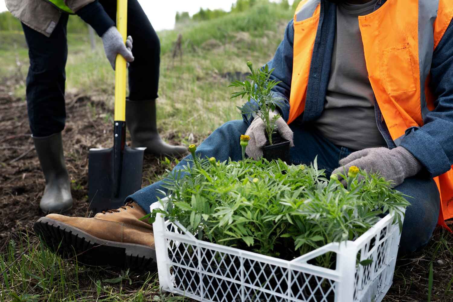 West Bradenton, FL Tree Service Company